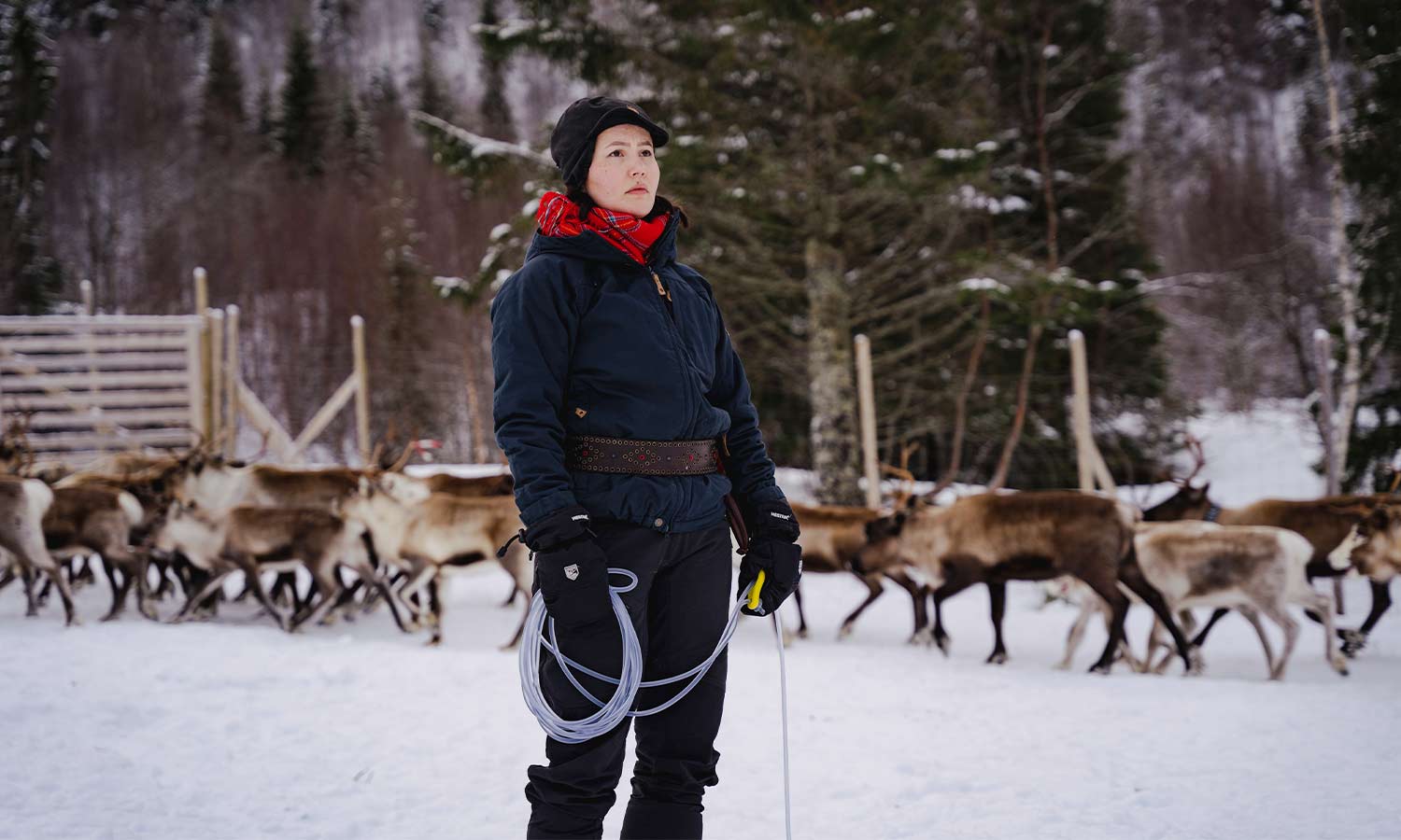 Den samiska kulturen hotar förstöras i norska Fosen